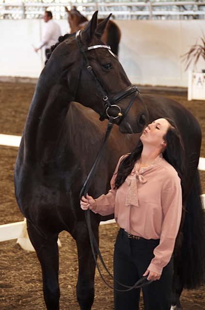 Customer Testimonails